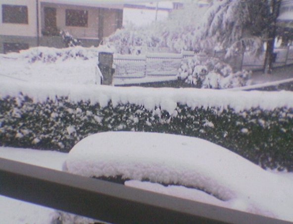 Lirio e la neve