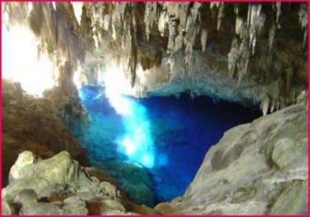 [_resized_bonito1_1.jpg]