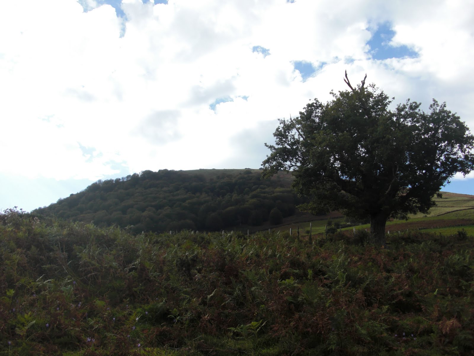 GR10 SaintEtiennedeBaïgorry SaintJeanPieddePort