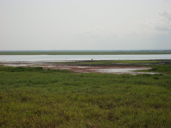 Gorongosa