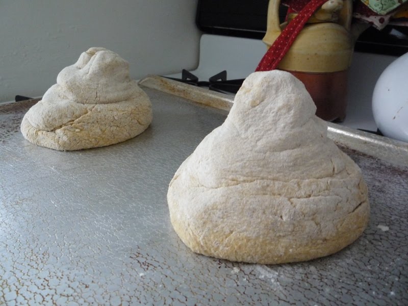 The Hot Cookie Ryaninjun Bread