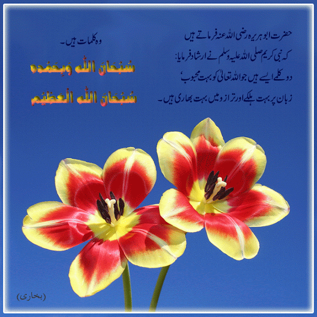 Subhanallahi Wa Bihamdihi Subhan Allahil Azim