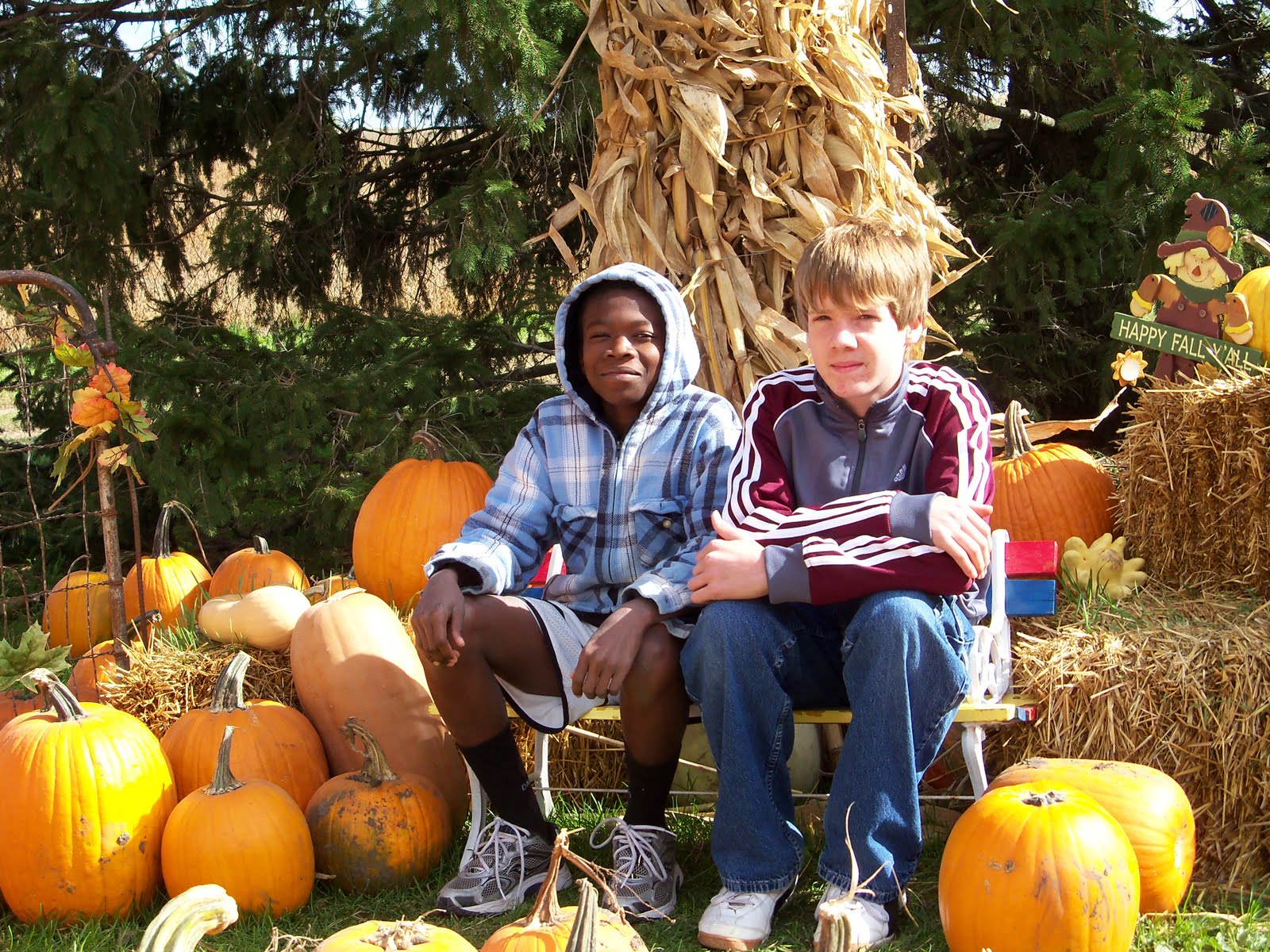 7 oh! 7 It's the Great Pumpkin!