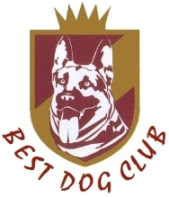 Best Dog Club