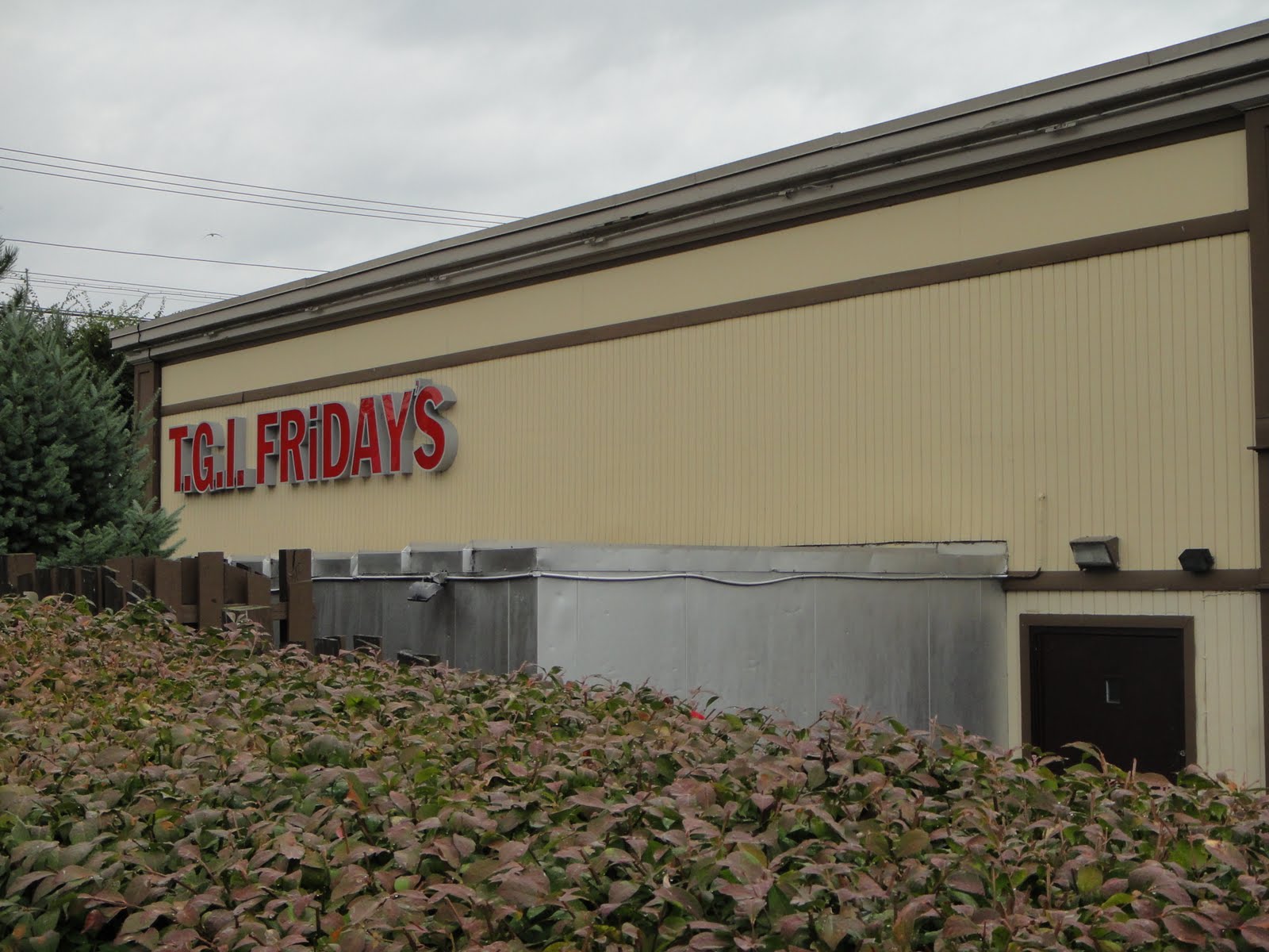 Firmament High Hamden