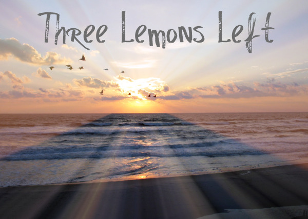 ThreeLemonsLeft