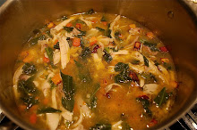 Chicken Soup for Healing
