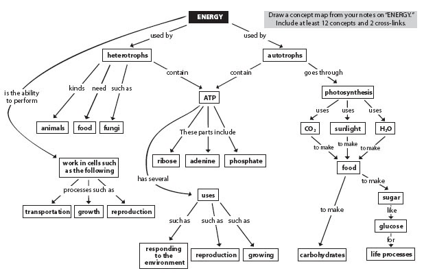 Concept Mapping In Learning Biology ~ Science Area