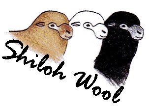Shiloh Wool