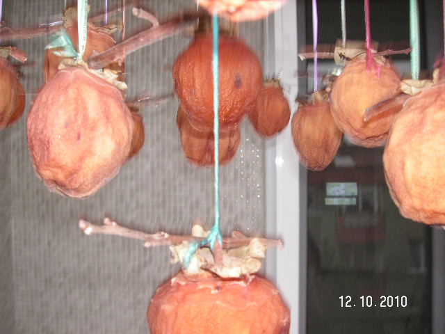 Sabunlarım: Ekim 2010