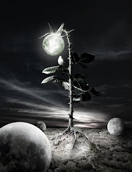 surreal flower rose phere yodis surrealism flowers moon surrealist die artist