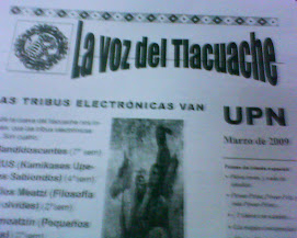 TRIBUS ELECTRONICAS