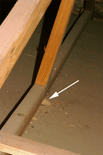 A pile of drywood termite pellets at the base of this roof joist spells trouble