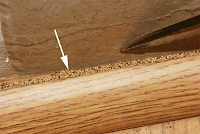 Drywood termite pellets caught in a crevice above quarter-round molding.  Attention to detail, sharp eyes and a good flashlight are essential for spotting  signs of drywood termites.