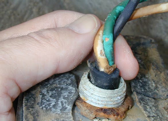 Insects in the City: Treating fire ants in electrical equipment