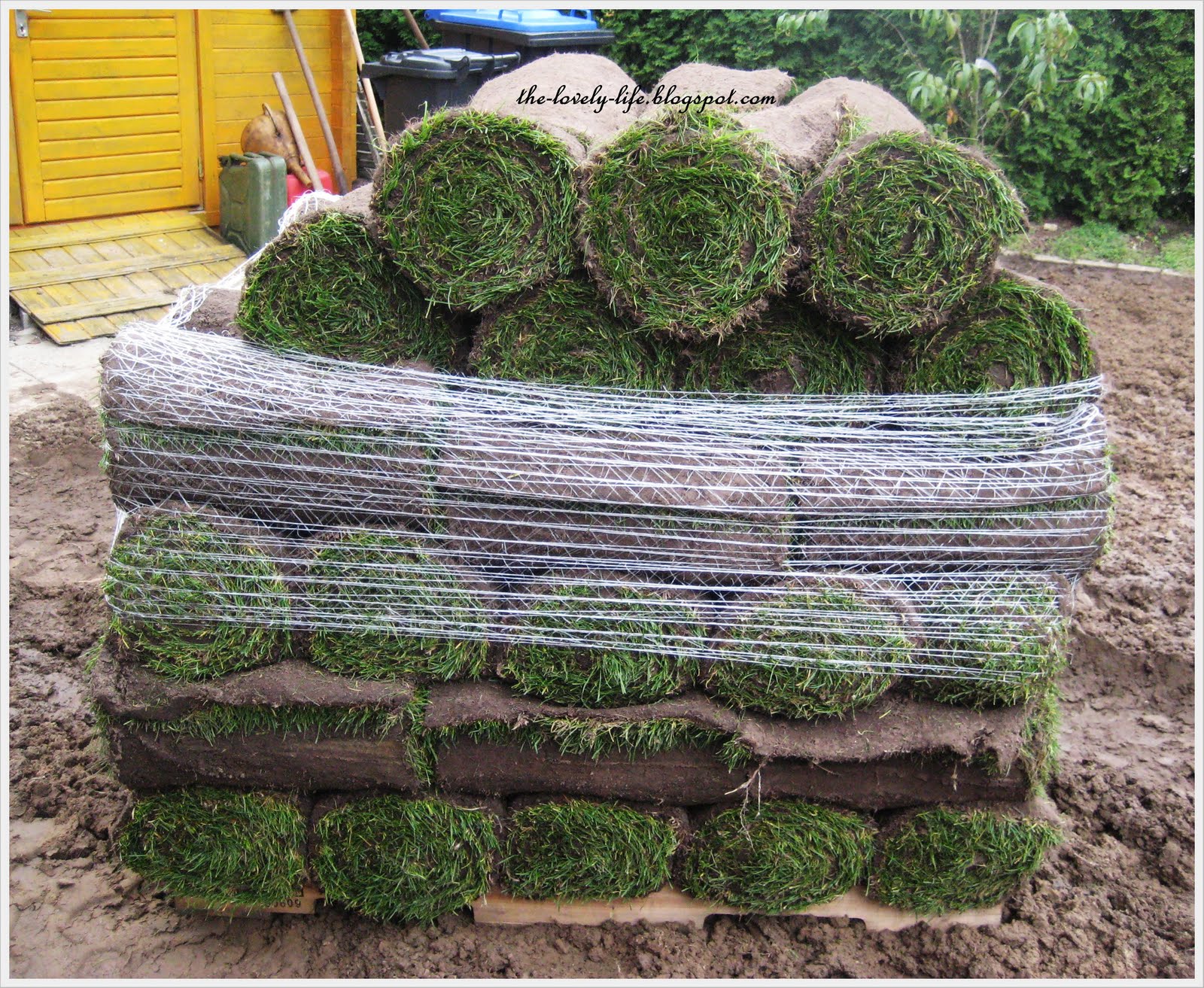 The Lovely Life: September 2010