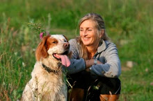 Do dog and owner characteristics affect the owner-dog relationship?