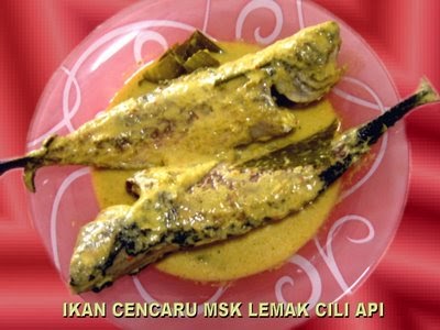 Ikan Cencaru Masak Lemak Cili Api Food For Love