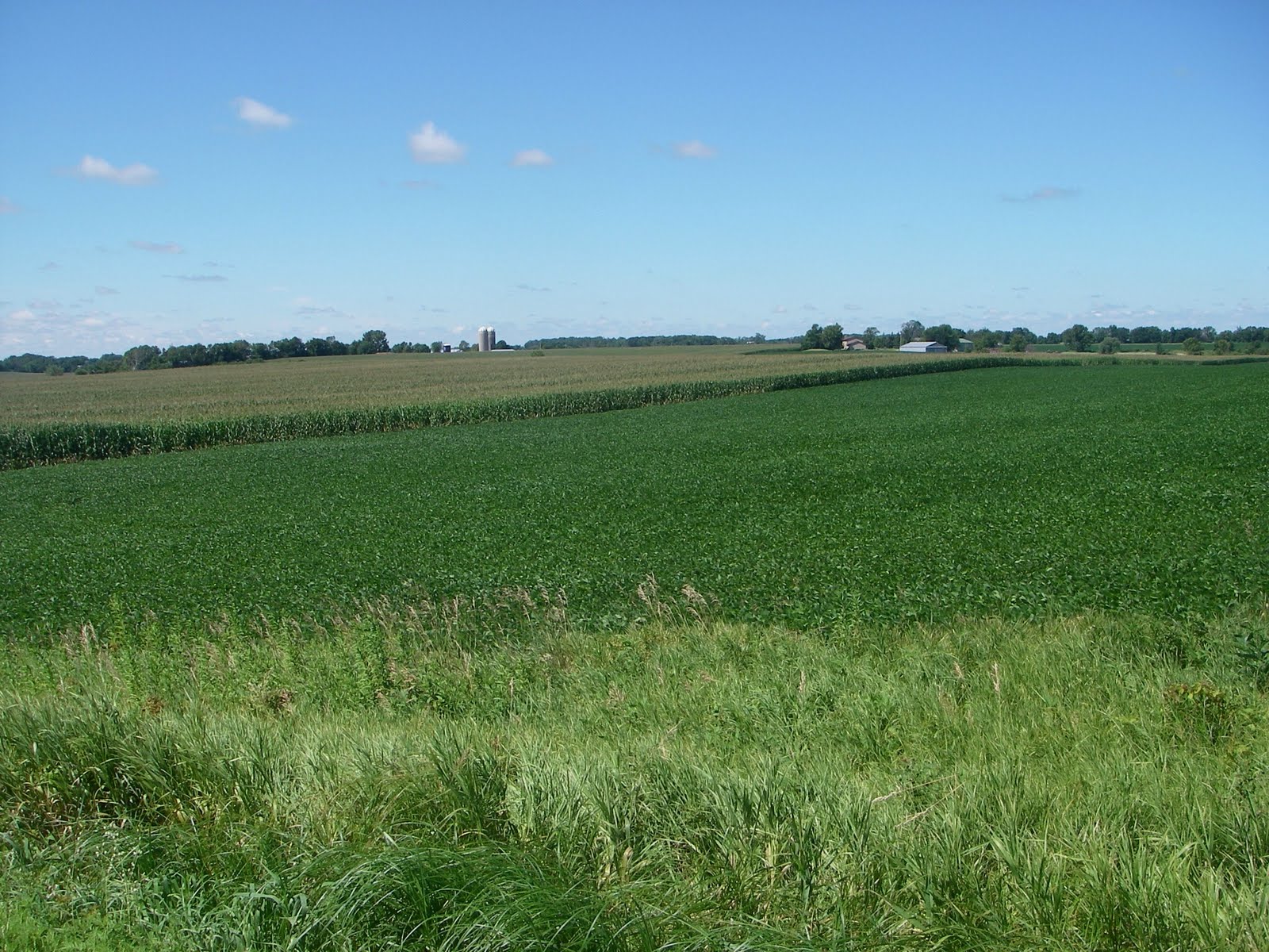 TEXAS ROAD QUEEN More pictures from MN