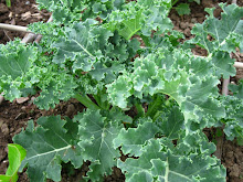 Kale