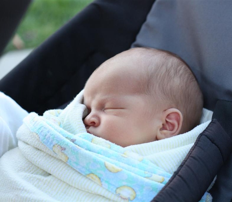 Phil And Teds Cocoon Car Seat Phil And Teds Cocoon Car Seat