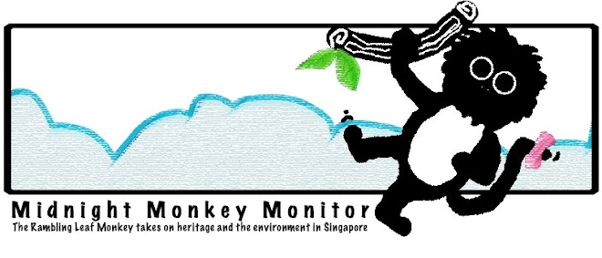 Midnight Monkey Monitor