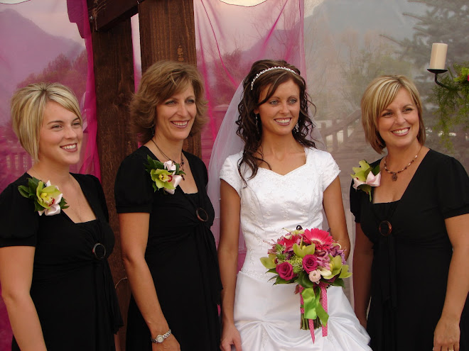 Jeff and Annikas wedding