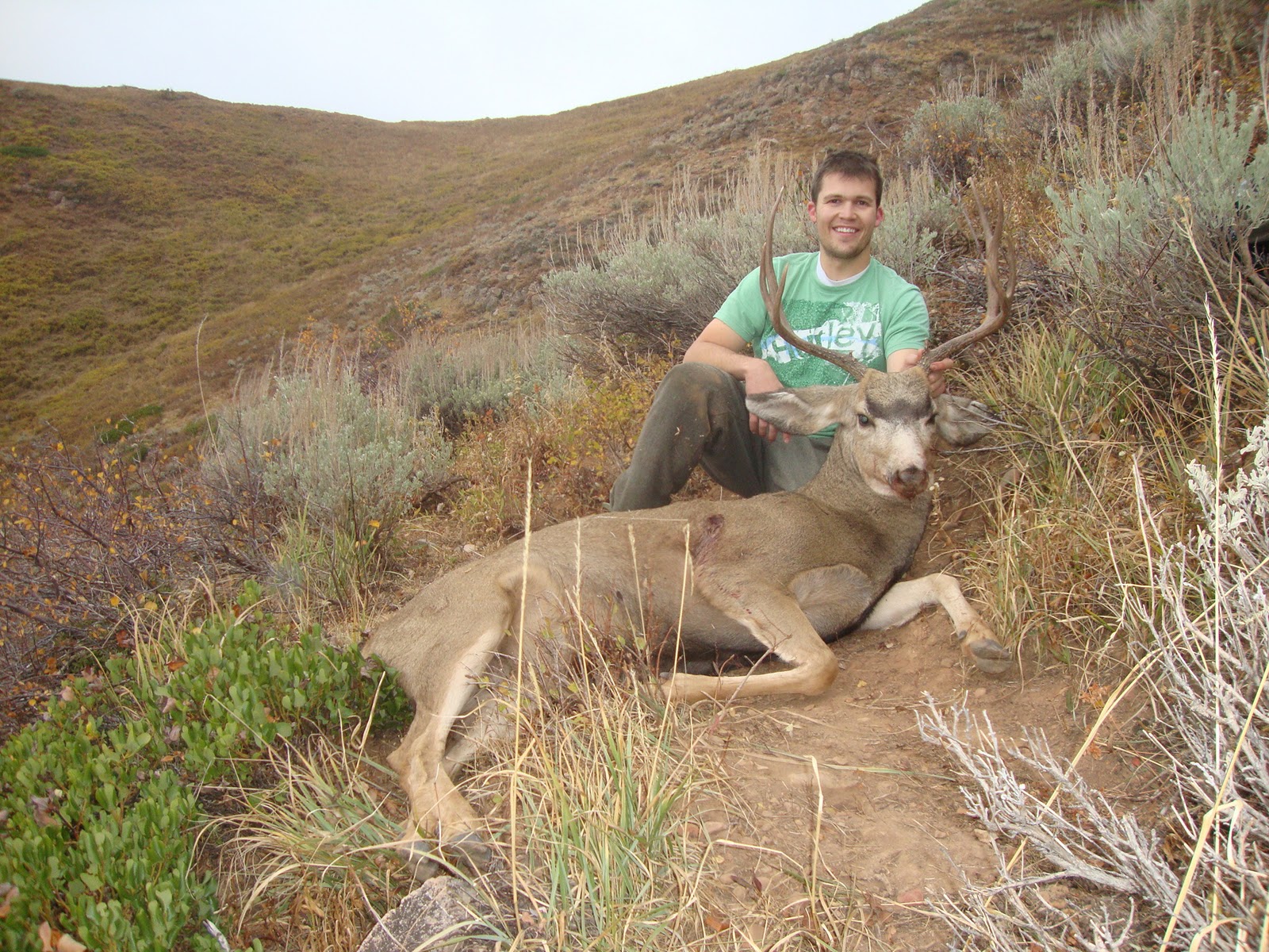 Deer Hunting Season In Utah