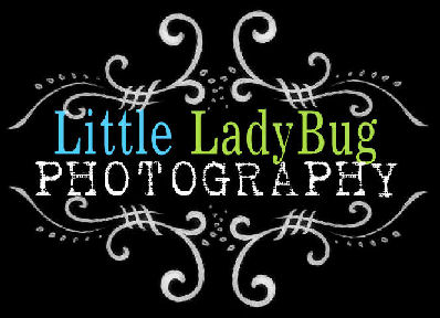 Little LadyBug Photography