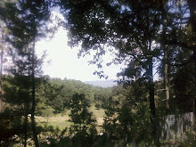 Área bien conservada