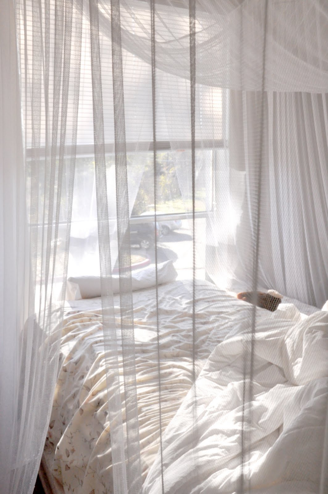 [ethereal+canopy.jpg]