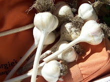Dragonwood Garlic