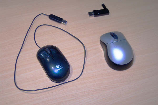 [mouse1.jpg]