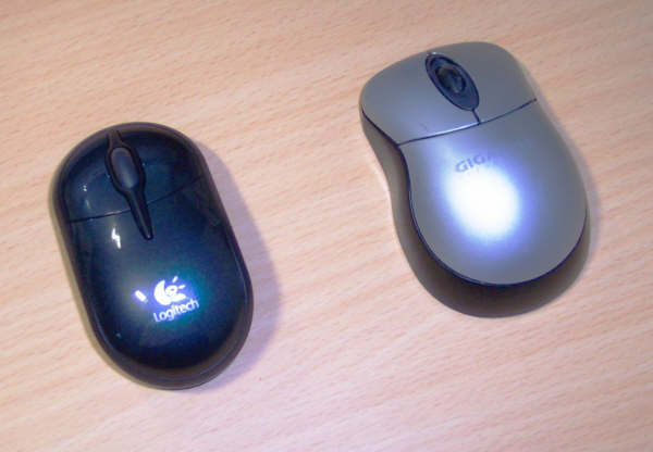 [mouse3.jpg]