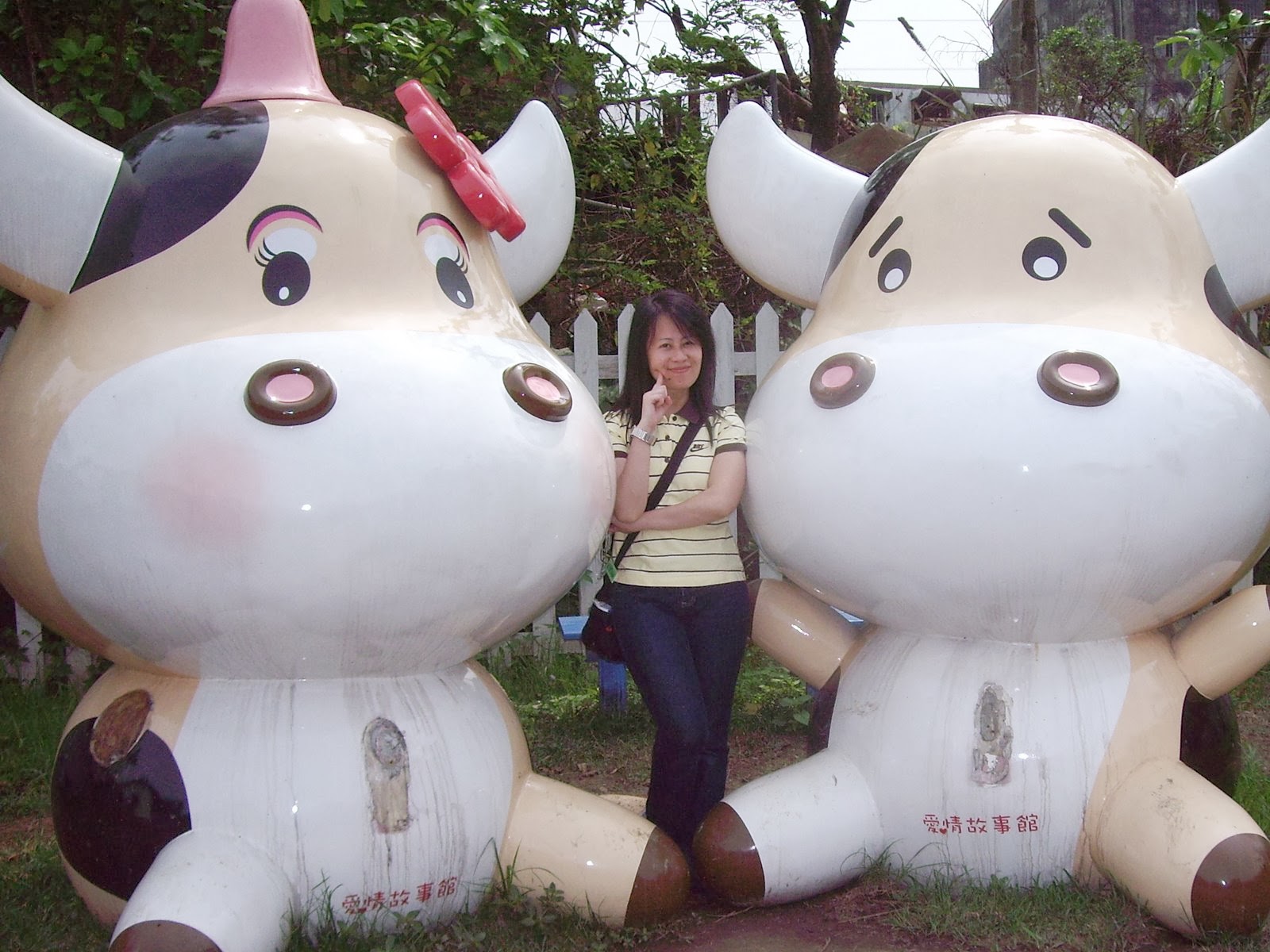 [IMGP0046.JPG]