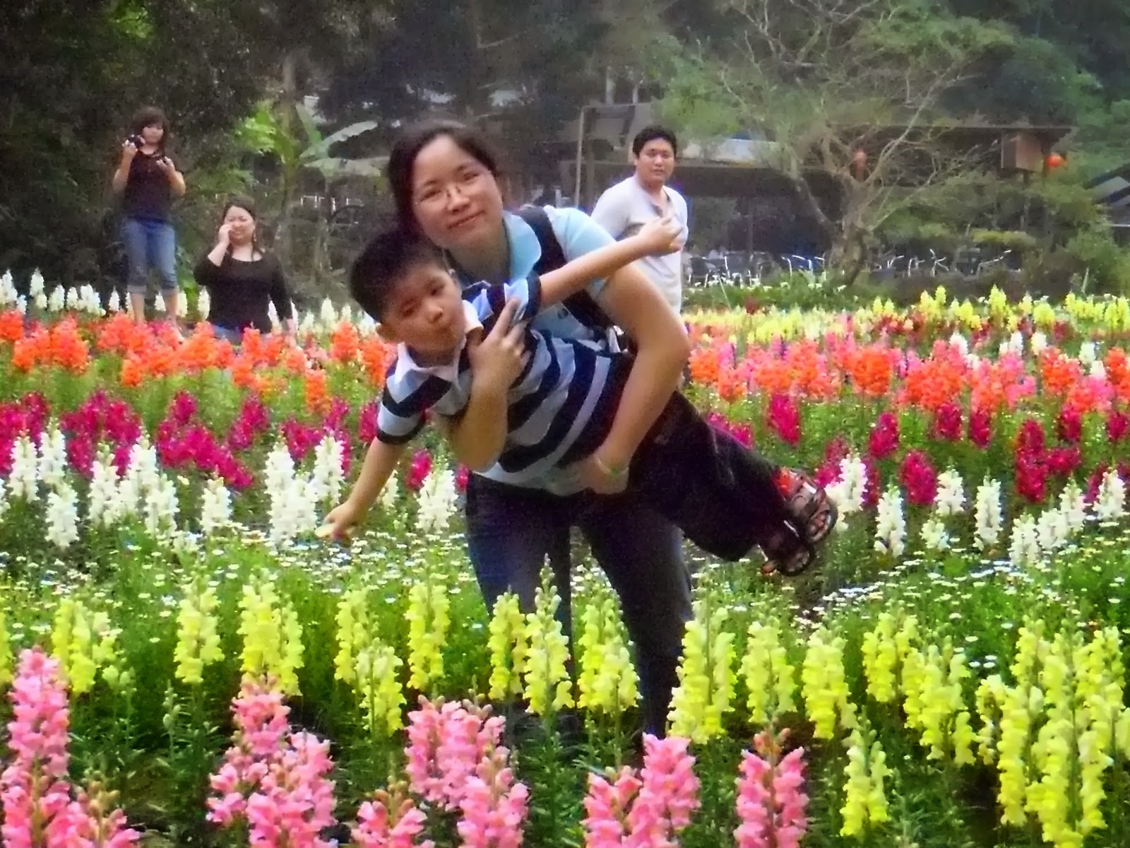 [SDC10197.JPG]
