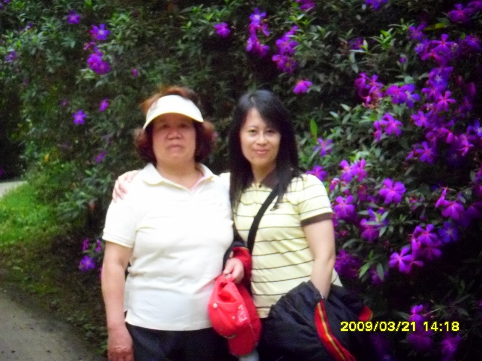 [SDC10176.JPG]