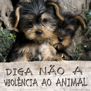 Diga NÃO à violência ao animal!!!