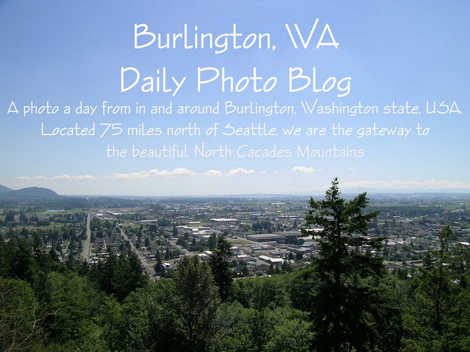 Burlington WA Daily Photo