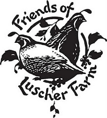Friends of Luscher Farm