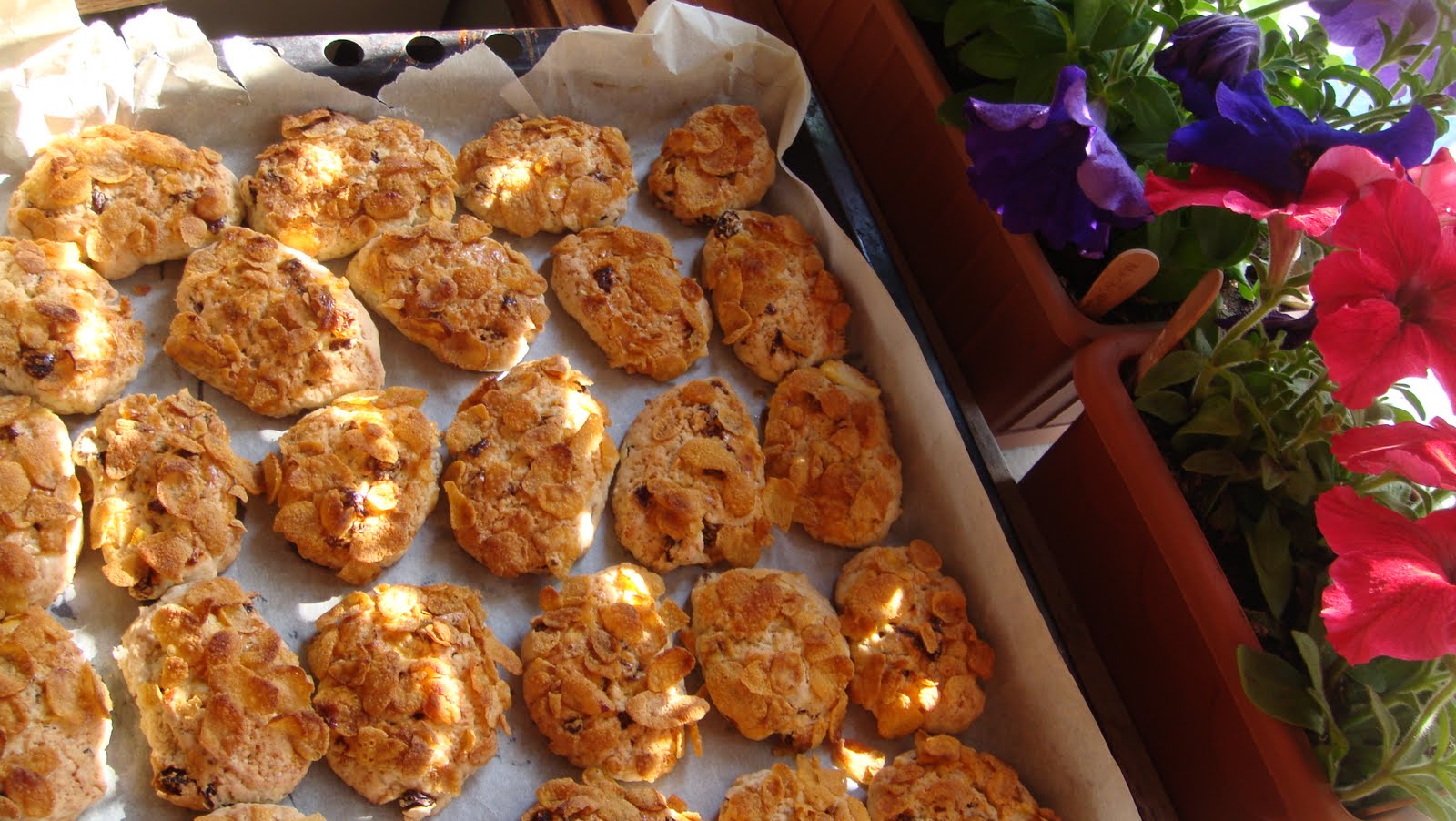 lavantalimon Üzümlü Mısır gevrekli Kurabiye