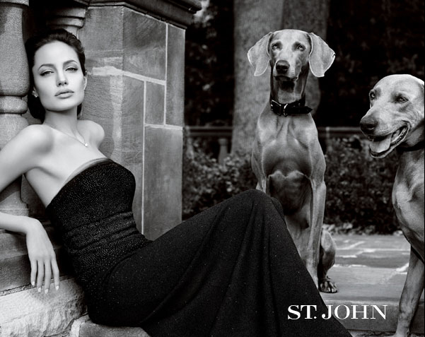 Hollywood Hot and  Angelina Jolie In STJOHN AD Wallpapers wallpapers