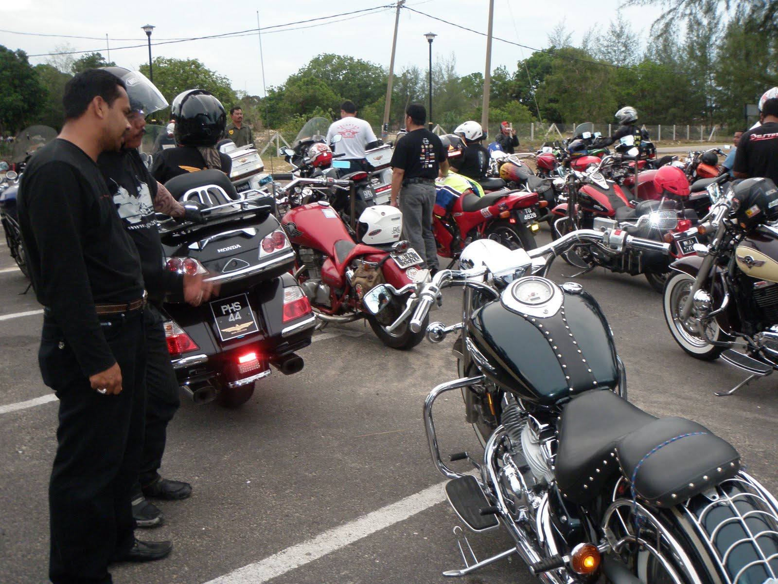 best harley for new riders