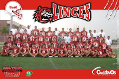 Linces Mayor