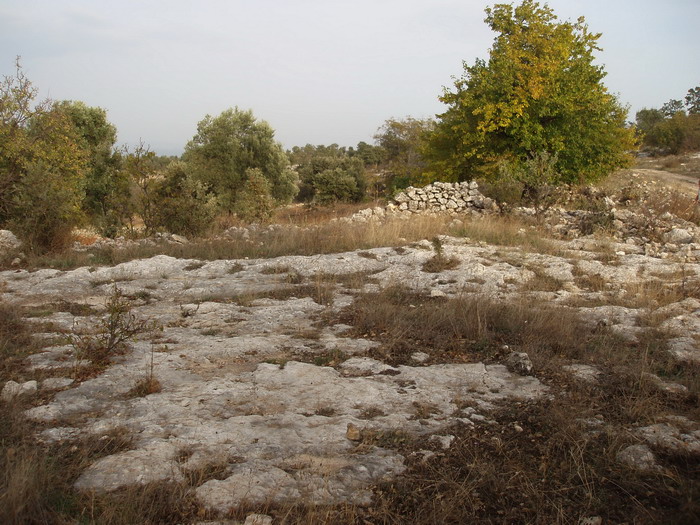 AYDINCIK/MERSİN AĞANIN BAĞI