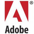 Do not have Adobe Reader to read files?