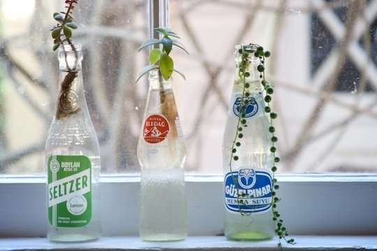 [appartment+bottles.jpg]