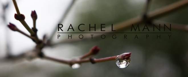 Rachel Mann Photography