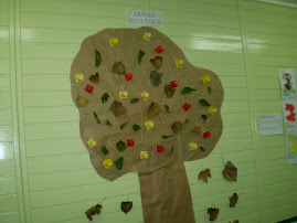 Árvore Ecológica (Projeto de aprendizagem: Natureza)