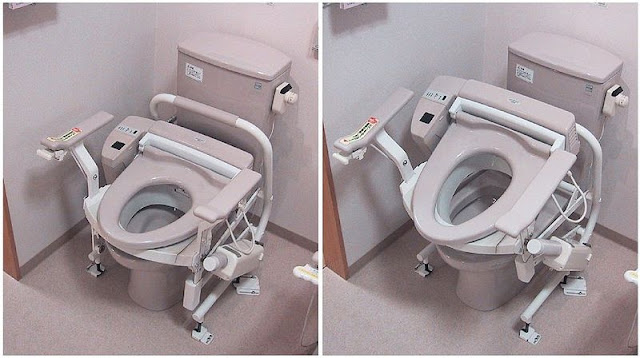 Electric_raised_toilet_seat_for_elderly.jpg